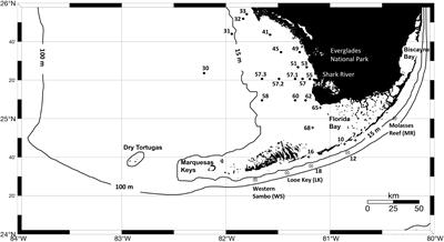 Dynamic Satellite Seascapes as a Biogeographic Framework for Understanding Phytoplankton Assemblages in the Florida Keys National Marine Sanctuary, United States